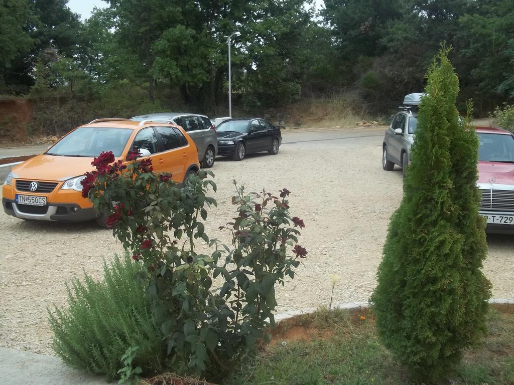 Pansion Danijel Hotel Medjugorje Ngoại thất bức ảnh